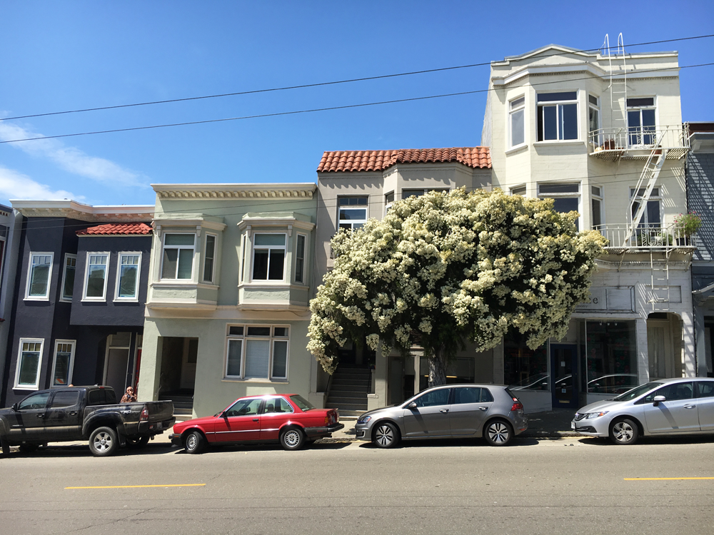 travelblogger-San-Francisco-street